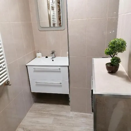 בית הארחה Studio La Curte In Faleza N *